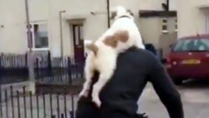 Odvážny psík si osedlal svoho pána