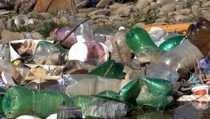 Koniec pohodeným plechovkám a fľašiam na zemi. Vláda schválila zálohovanie PET fliaš