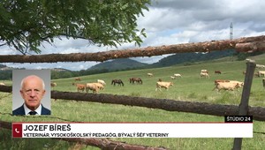 Štúdio 24: Aktuálny stav slintačky a krívačky