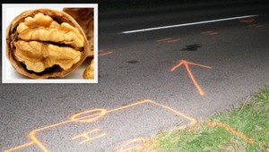 Chlapec (5) zbieral na Záhorí orechy, zrazilo ho auto