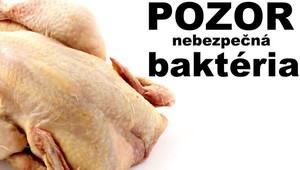 Veterinári našli v obchodoch 15 percent nakazených kurčiat
