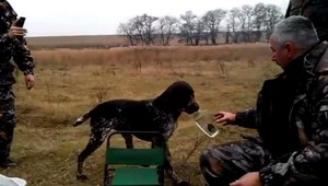 Pokyn psovi: Bež do auta a prines fľaštičku vodky!