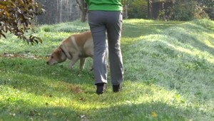 Žena kričala o pomoc, šestnásťročný mladík ju chcel znásilniť