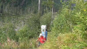 VIDEO: Tatry majú ďalší unikát. Cestou na Zamkovského chatu môžete stretnúť najstaršieho nosiča v Európe