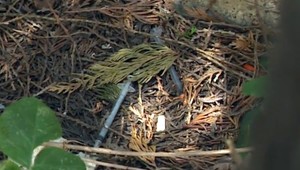 Polícia vo veľkom bojuje proti drogám. Z bratislavských ulíc ale stále nemiznú