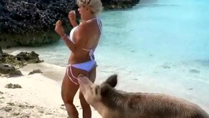 VIDEO: Modelku počas fotenia uhryzlo do zadku prasa