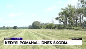 Najpodstatnejšie regionálne spravodajstvo zhrnuté v relácii Regióny 24