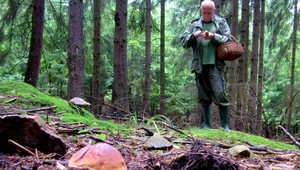 Hubári našli v lese telo muža. Mal pri sebe zbraň