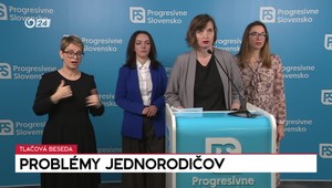 Tlačová beseda: Problémy jednorodičov