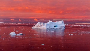 Toto ste ešte nevideli: Antarktídu pokrýva červený sneh
