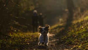 Aprílové prekvapenia počasia. Čakajú nás horúce dni aj naďalej?