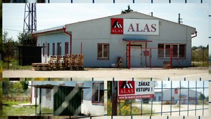 Psy zaútočili na modelku, fotografovi (39) odhryzli ucho