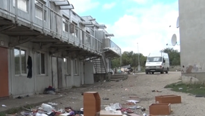 Okrajovú časť Nitry zamorili ploštice a šváby. Stovky obyvateľov museli na istý čas vysťahovať