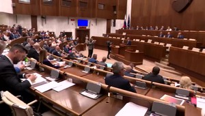 Niektorí športovci kandidujú opäť, pribudli aj noví. Ktorý šport má najpočetnejšie zastúpenie?