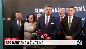 Tlačová beseda o spájaní strán SNS a Život-NS