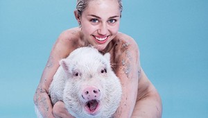 Silná káva! Miley Cyrus pózovala nahá s prasaťom!