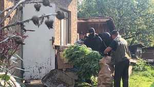 Kukláči zadržali Ludvika (36). V záhrade za domom mal pestovať marihuanu