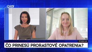 Hallová: Vláda mohla byť odvážnejšia. Prorastové opatrenia ekonomiku nenaštartujú