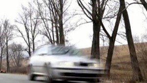 Padajúce topole pri Toryse ohrozujú chodcov aj vodičov