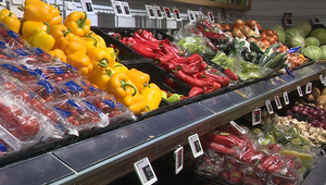 Alarmujúce čísla: Takmer 30 percent Slovákov vyhadzuje jedlo, ktoré kúpili zbytočne