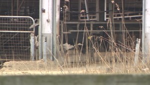 Slovensko zatvára malé priechody s Maďarskom. Dôvodom je nové ohnisko nákazy