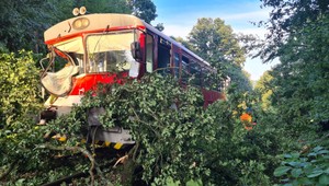 Nešťastie na železnici: Na vlak sa zrútil strom
