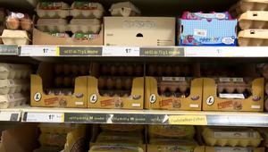 Nedostatku potravín sa pred Veľkou nocou nemusíme báť