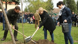 Týždeň v politike podľa Štefančíka: Sadenie stromov prezidentkou, ale aj  bruselské volanie po spravodlivosti