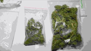 Policajti zatkli mladého Kežmarčana. Okrem pizze predával aj marihuanu