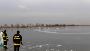 Na Slovensku pribudli ďalšie prípady vtáčej chrípky