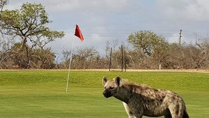 Hra len na vlastné riziko: najdivokejšie golfové ihrisko sveta