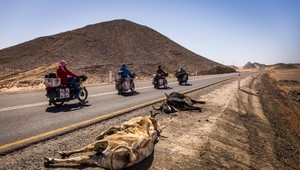 Znepokojené WHO: Z týchto 8 nebezpečných vírusov môžu byť pandémie