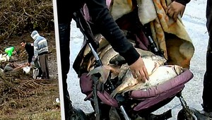 Osada plná mŕtvych rýb, zásoby vydržia do Vianoc