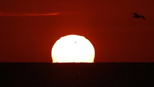 Alergie alebo precitlivenosť na slnko. Viete ako sa chrániť počas leta?