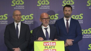 Tlačová beseda strany SaS na tému Škandalózne USB