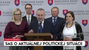 Tlačová beseda strany SaS o aktuálnej politickej situácii