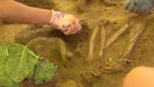 Vzácny objav. Farmár počas zberu zemiakov natrafil na pohrebisko staršie ako pyramídy