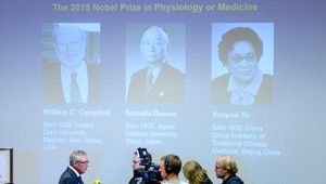 Nobelovu cenu za medicínu získali bojovníci proti parazitom