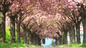 Slnečné dni sa opäť vrátili. Príjemné teploty ale vystriedajú chladné noci