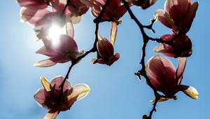 Slovensko čaká výrazné oteplenie. Budúci týždeň prinesie letné dni