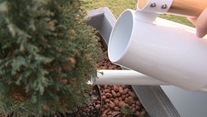 Teplá zima škodí rastlinám. Takto ich môžete pred výkyvmi počasia ochrániť