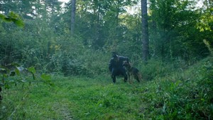 Arpi, sadni! (seriál 1890)