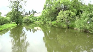 Dostali chuť na ryby, a tak sa namiesto do obchodu vybrali nejaké uloviť. Skončili v cele