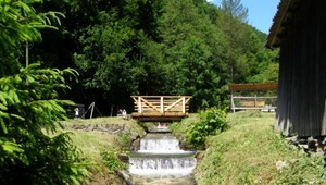 Katka (†22) odišla do lesa s puškou a nožom, už sa nevrátila