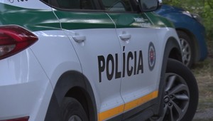 Svadobná veselica sa zvrhla na bitku: Policajti museli nasadiť služobného psa