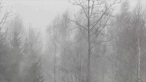 Slovensko dnes potrápil silný vietor. Meteorológ odkazuje, že pre tento týždeň to nie je všetko