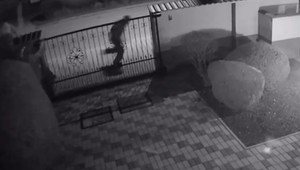 VIDEO: Lupiči čakali v kríkoch hodiny. Na muža zaútočili päsťami