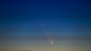 Vzácna kométa očarila Slovensko. Ešte stále ju môžete vidieť aj vy