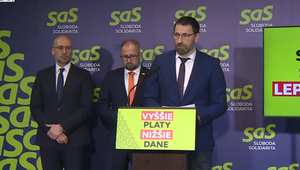 Tlačová beseda strany SaS o aktuálnej situácii
