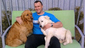 Nevideli ste zlatých retríverov Harryho a Huga? Hľadáme ich!